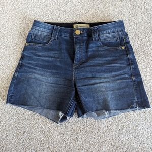 DEMOCRACY ab technology distressed shorts